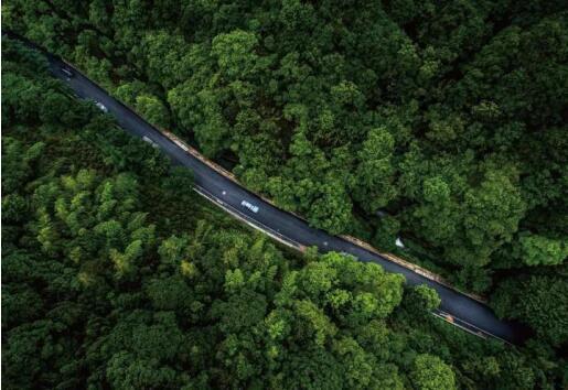 在最美的季節(jié)遇見你 雅居樂“上山下?！斌w驗行