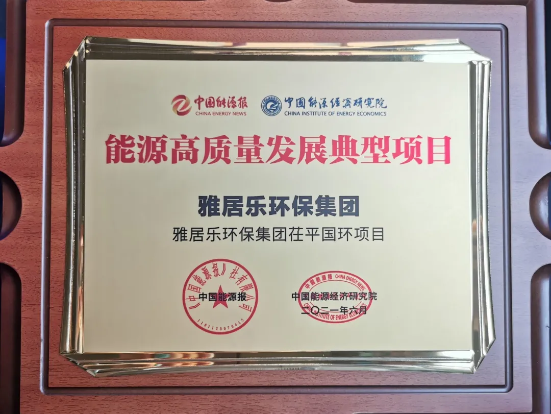 3、茌平國環(huán)能源獎.png